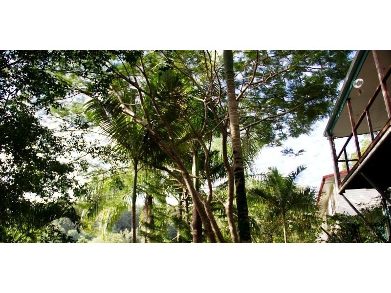 17 TURNIPWOOD DRIVE, Buderim QLD 4556
