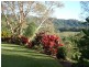 149 Towen Mountain Road, Woombye QLD 4559