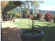 149 Towen Mountain Road, Woombye QLD 4559
