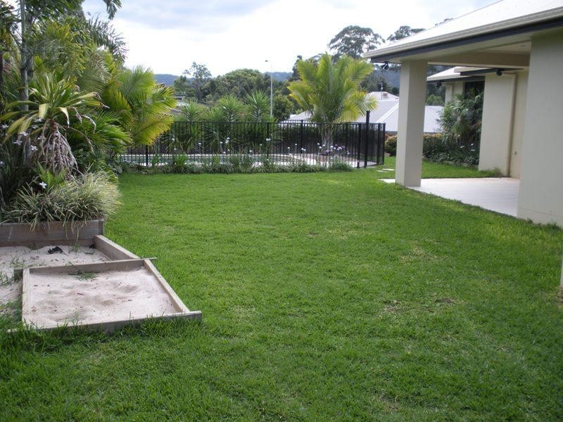 6 Gallows Place, Palmwoods QLD 4555