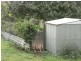 153 Old Bowling Green Road, Palmwoods QLD 4555