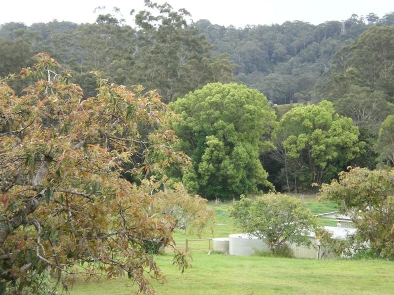 153 Old Bowling Green Road, Palmwoods QLD 4555