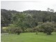 153 Old Bowling Green Road, Palmwoods QLD 4555