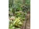 68 Towen Mountain Road, Towen Mountain QLD 4560