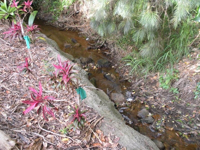 Palmwoods QLD 4555