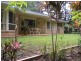 Palmwoods QLD 4555