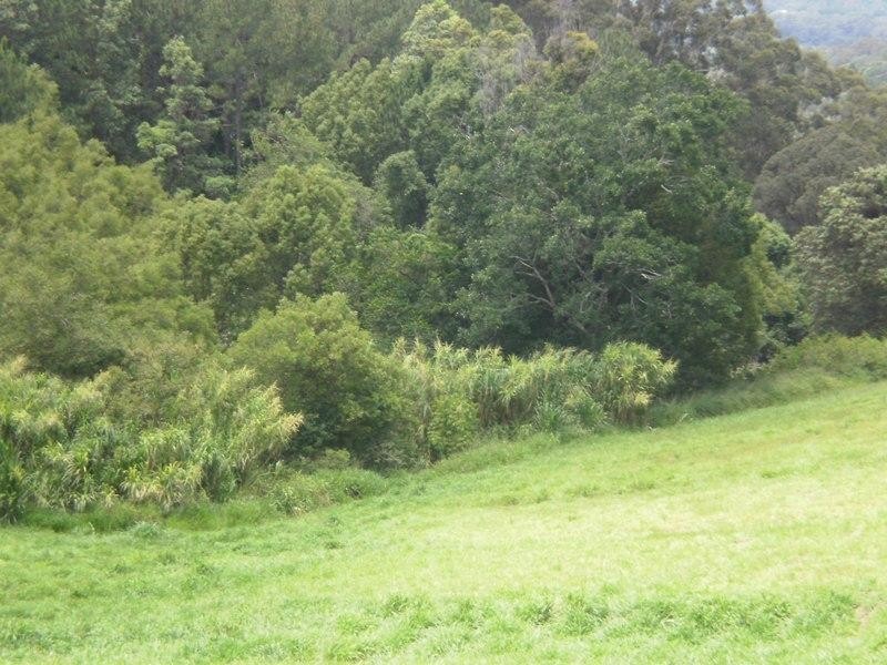 10 Towen Mountain Road, Towen Mountain QLD 4560