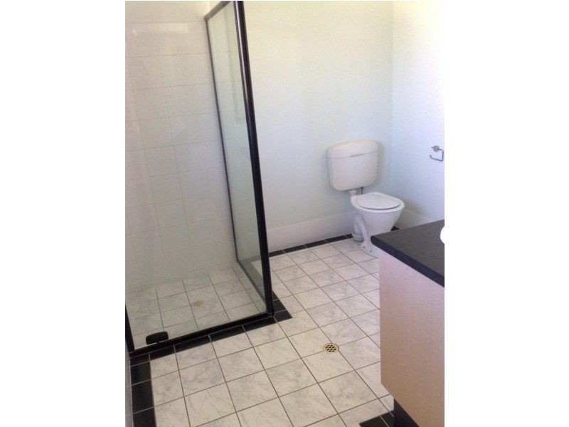 24 Starkey St, Palmwoods QLD 4555