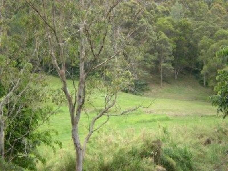 311 Highlands Road, Eudlo QLD 4554