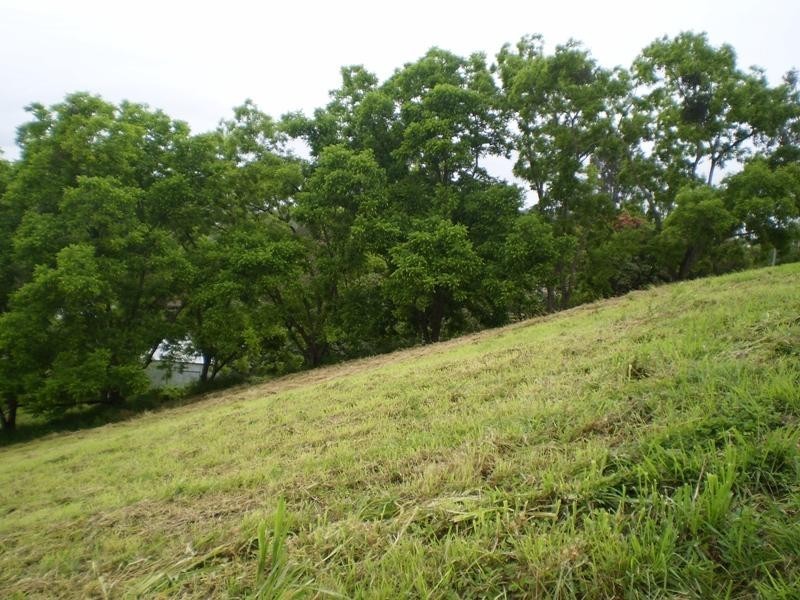 140 Shurvell Road, Palmwoods QLD 4555