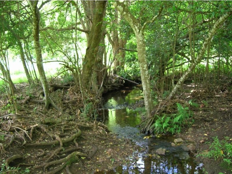 576 Image Flat Road, Kureelpa QLD 4560