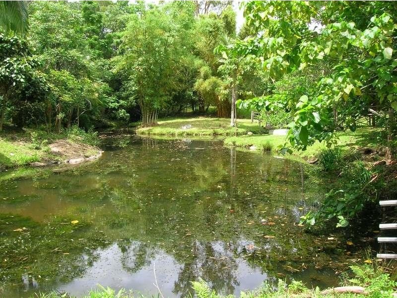 576 Image Flat Road, Kureelpa QLD 4560