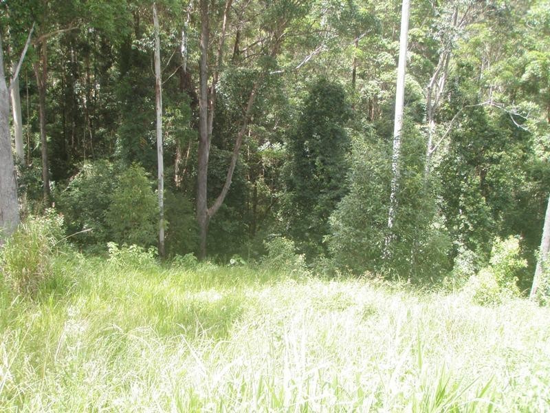 21 Cicada Close, Buderim QLD 4556