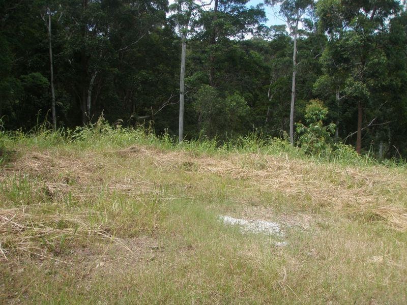21 Cicada Close, Buderim QLD 4556
