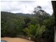 140 Shurvell Road, Palmwoods QLD 4555