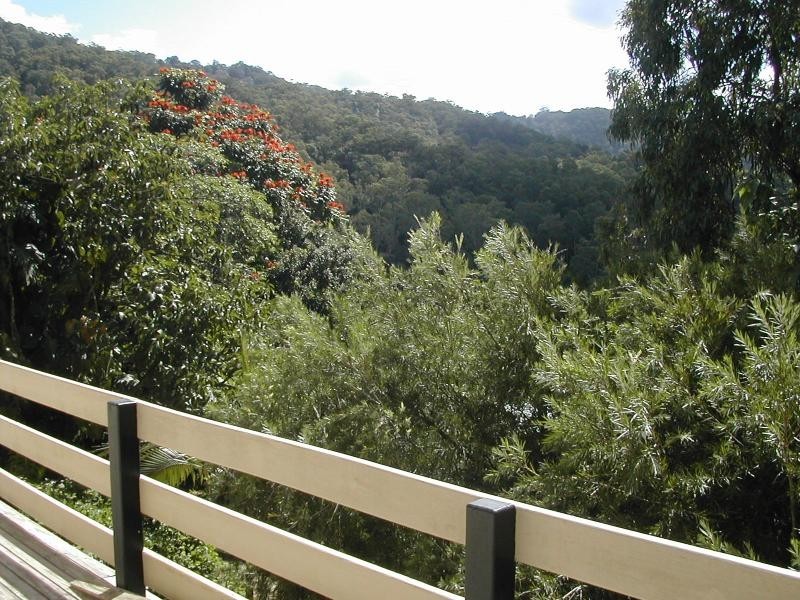 140 Shurvell Road, Palmwoods QLD 4555