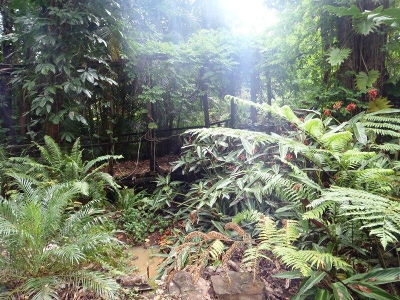 98 Macdonald Road, Palmwoods QLD 4555