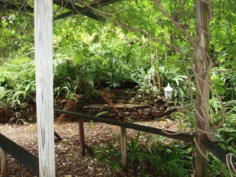 98 Macdonald Road, Palmwoods QLD 4555