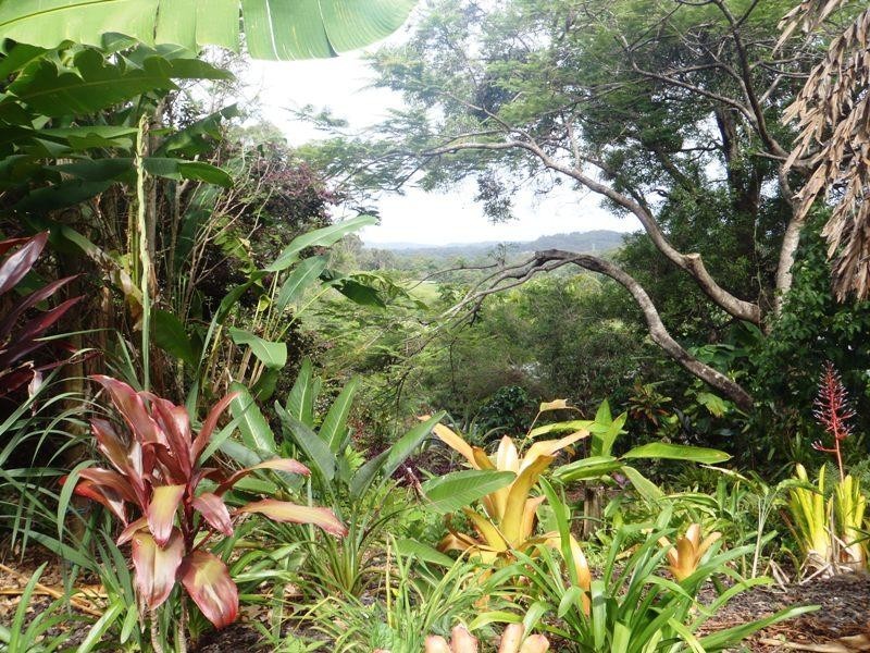 98 Macdonald Road, Palmwoods QLD 4555