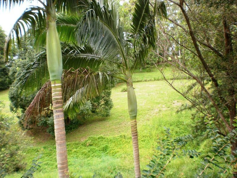 51 Chevallum School Road, Chevallum QLD 4555