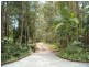 38 Paskins Road, Palmwoods QLD 4555
