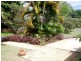 3 Aminga Court, Palmwoods QLD 4555