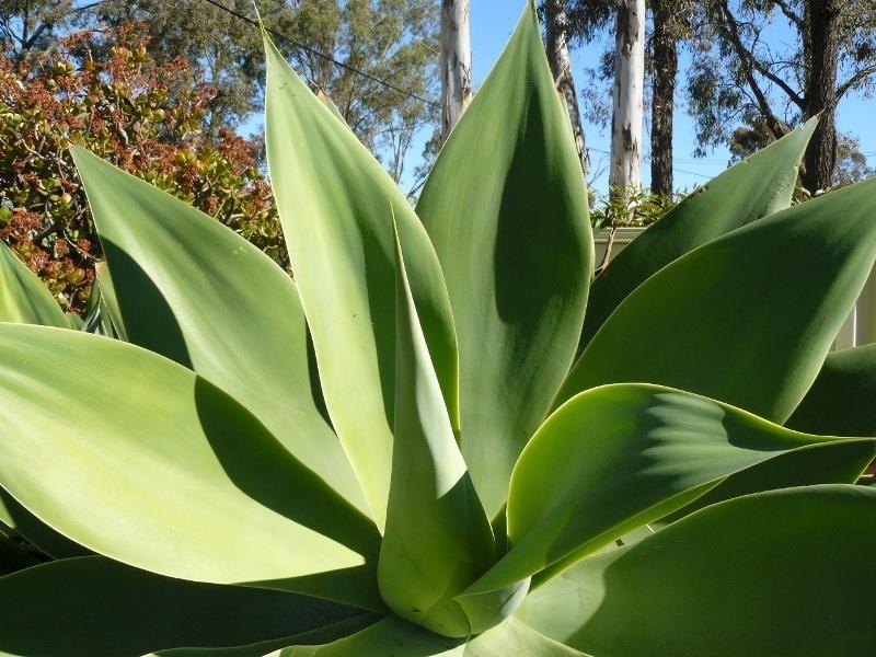 37 Silverdale Road, Silverdale NSW 2752