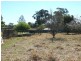 37 Silverdale Road, Silverdale NSW 2752