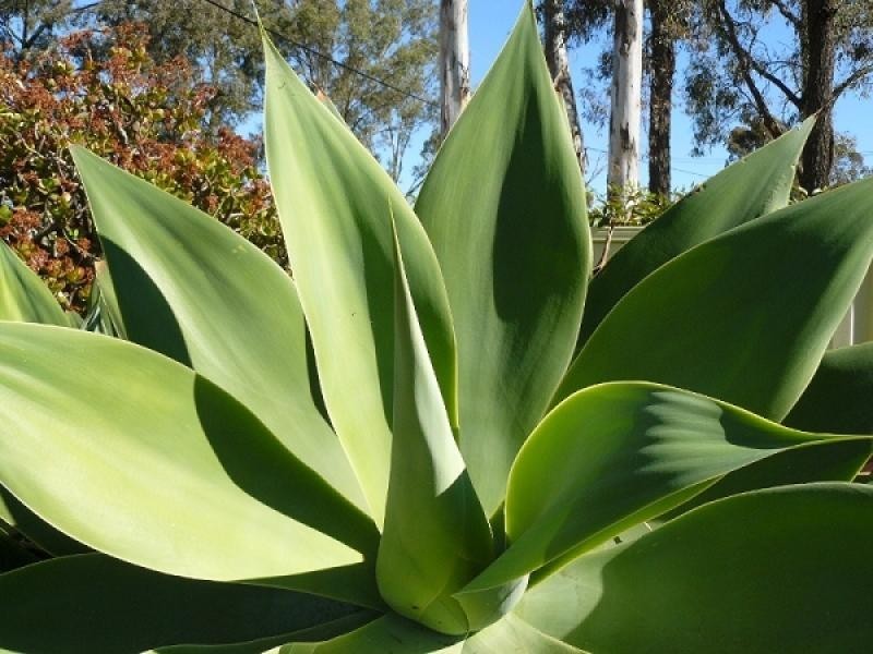 37 Silverdale Road, Silverdale NSW 2752