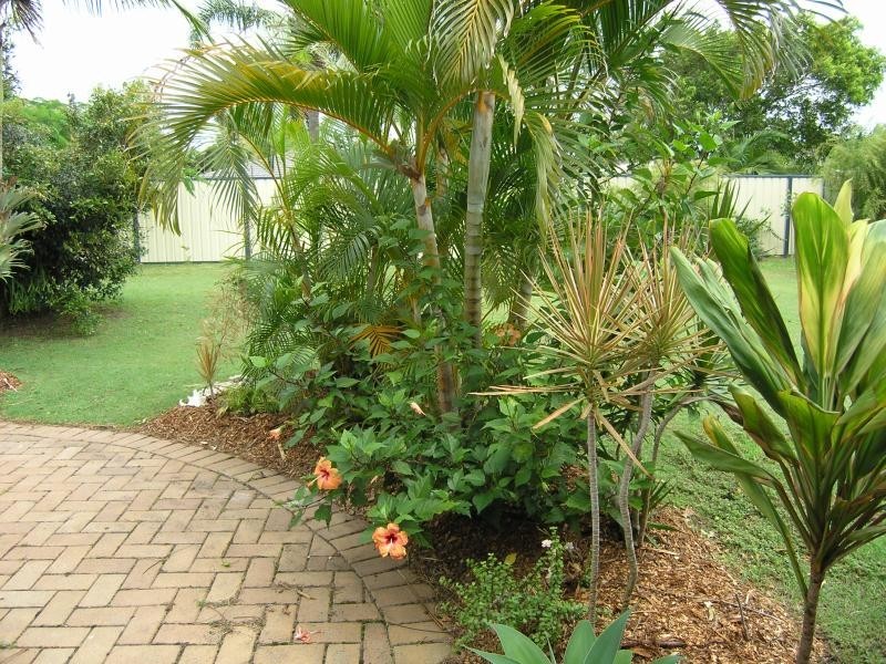 19 Lady Musgrave Drive, Mountain Creek QLD 4557