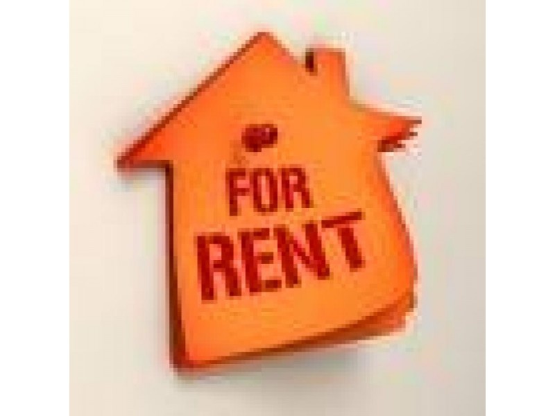 16 Harriet Lane, Oxenford QLD 4210