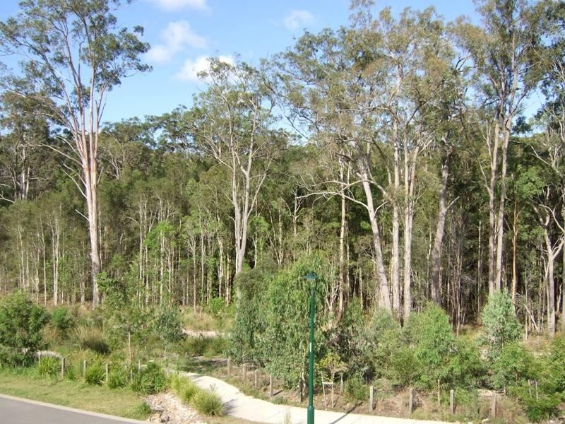 21 Andromeda Drive, Coomera QLD 4209