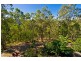 1408 Tamborine-Oxenford Road, Wongawallan QLD 4210