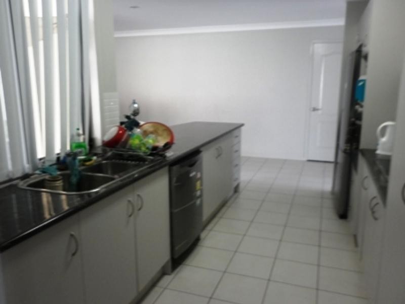 6 Sandor Court, Upper Coomera QLD 4209