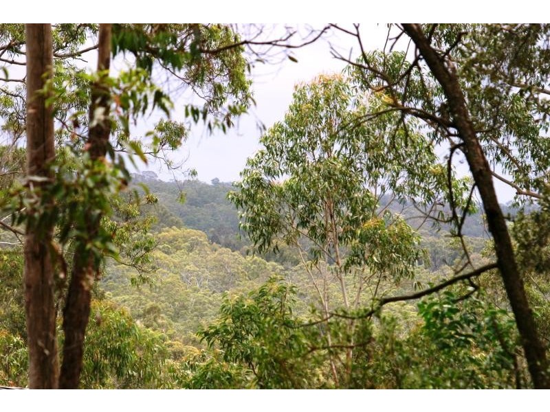 146 News Road, Werombi NSW 2570