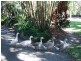 Cardwell QLD 4849