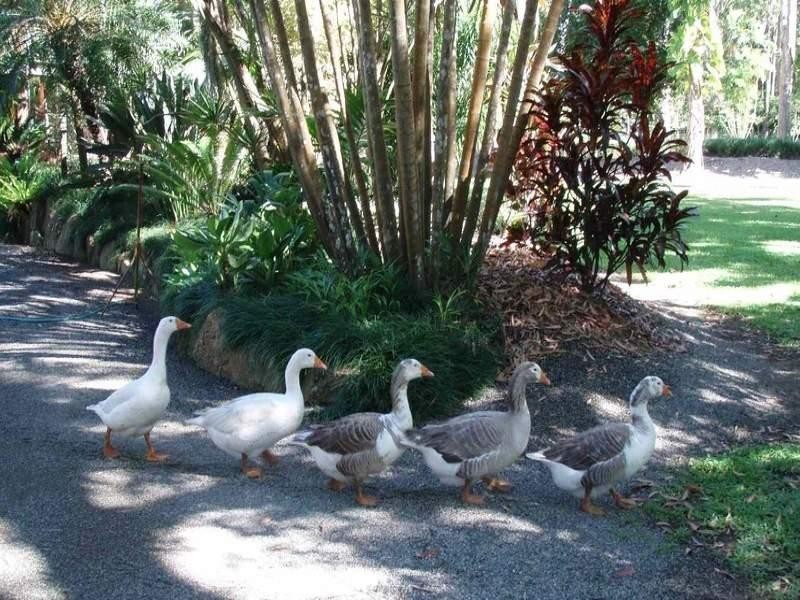 Cardwell QLD 4849