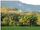 119 Ellerbeck Road, Cardwell QLD 4849