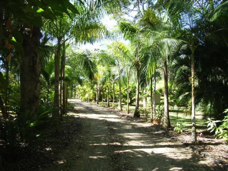 171 Stony Creek Road, Cardwell QLD 4849