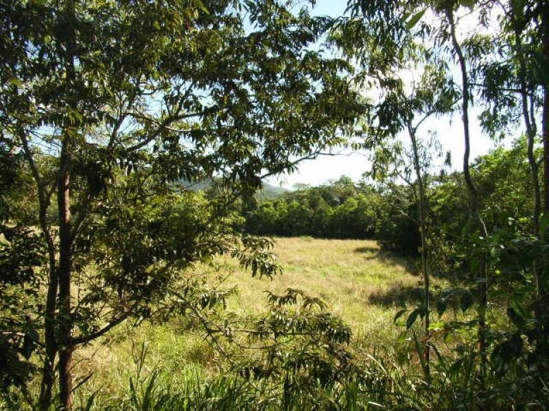 276 Appleyard Road, Cardwell QLD 4849