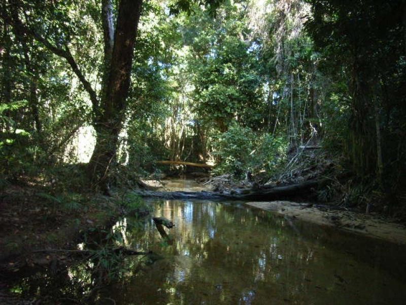 276 Appleyard Road, Cardwell QLD 4849