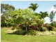 709 Ellerbeck  Road, Cardwell QLD 4849