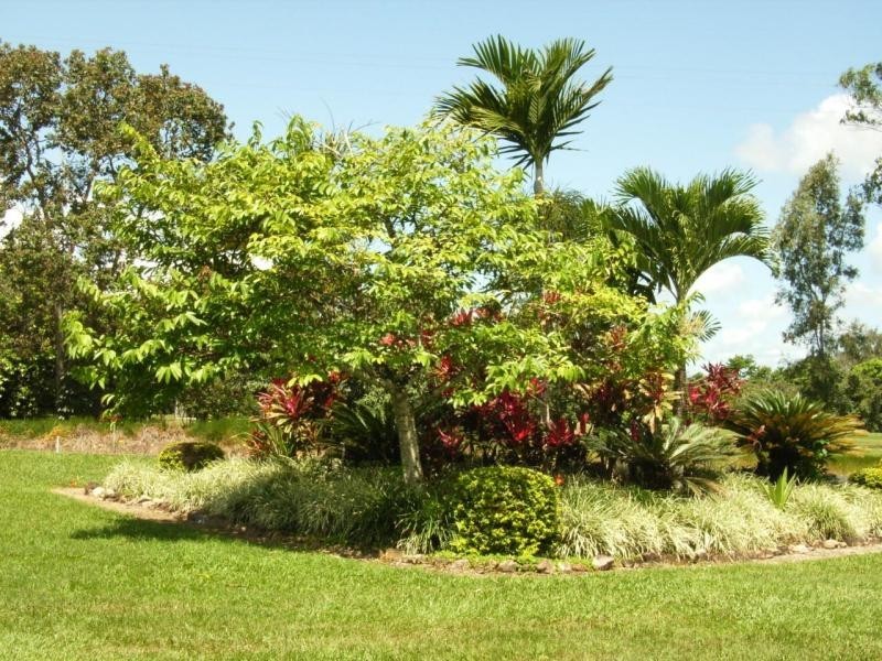 709 Ellerbeck  Road, Cardwell QLD 4849