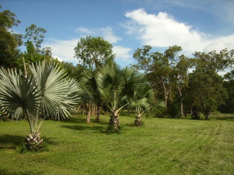Lot 4/ Curlew St, Cardwell QLD 4849