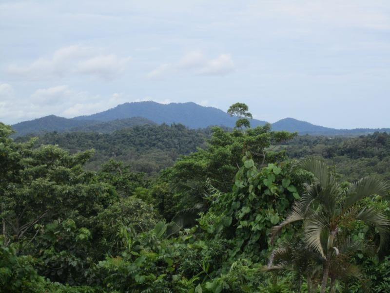 Lot 1/23 The Boulevard, Mission Beach QLD 4852