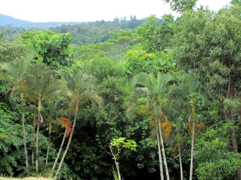 Lot 1/23 The Boulevard, Mission Beach QLD 4852