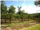 144 Bilyana Back Road, Cardwell QLD 4849