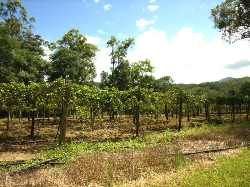 144 Bilyana Back Road, Cardwell QLD 4849