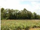 144 Bilyana Back Road, Cardwell QLD 4849