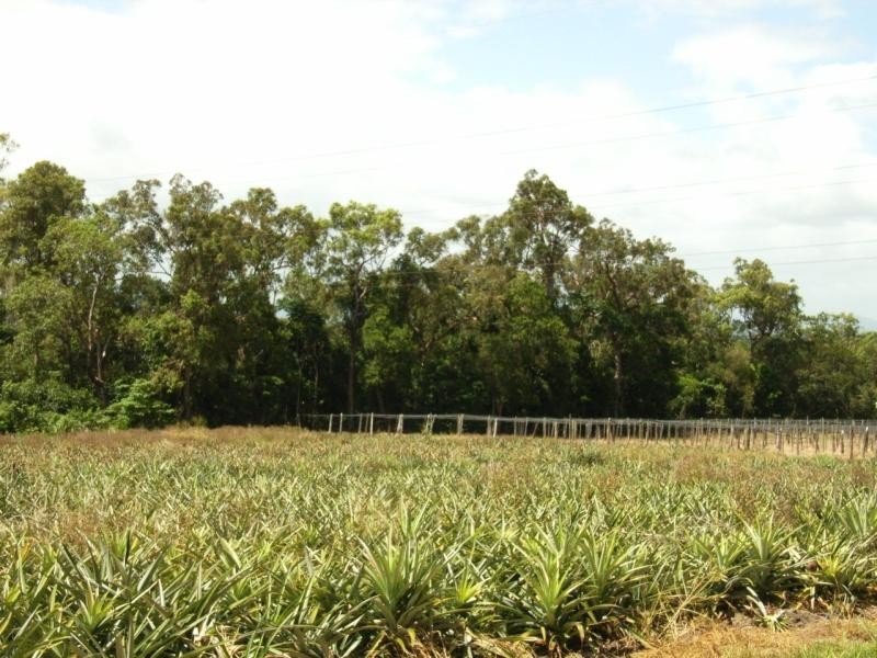 144 Bilyana Back Road, Cardwell QLD 4849
